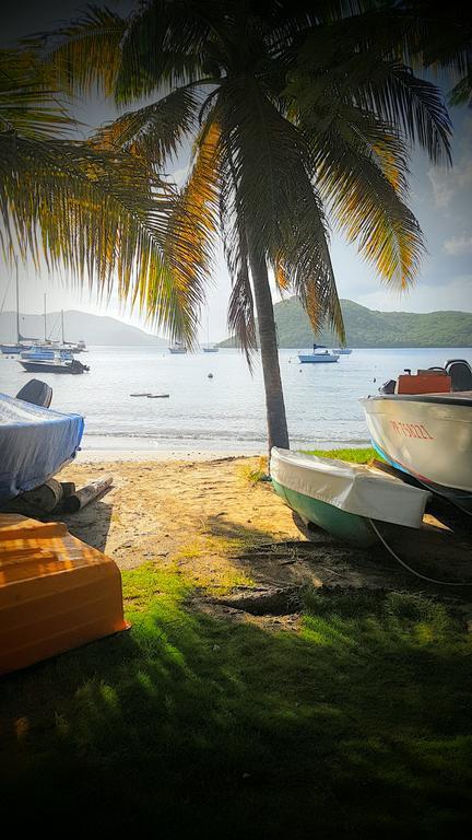 Location Marigot Villa Terre-De-Haut Exterior photo
